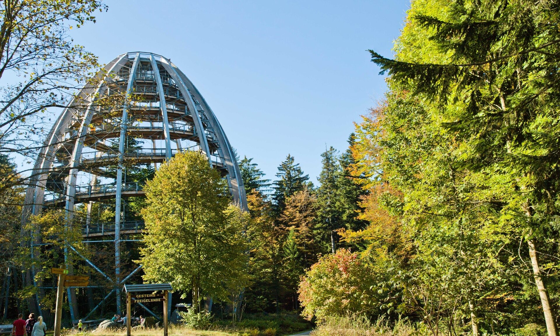 Der Baumwipfelpfad im Nationalpark Bayerischer Wald mit Aussichtsturm und vielen grünen Bäumen.