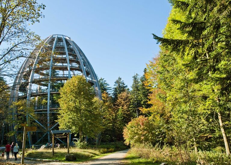 Der Baumwipfelpfad im Nationalpark Bayerischer Wald mit Aussichtsturm und vielen grünen Bäumen.