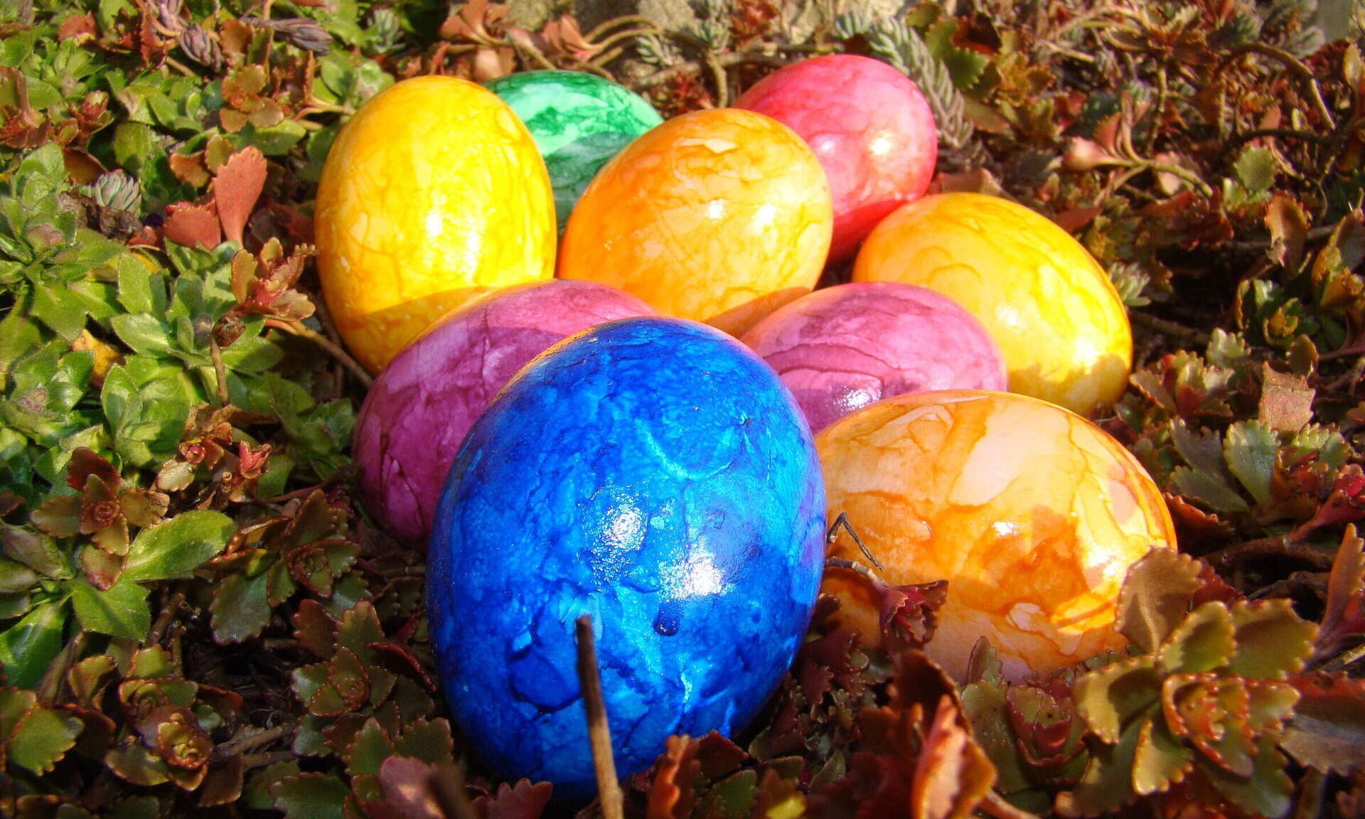 Ein paar bunte Ostereier liegen im Gras