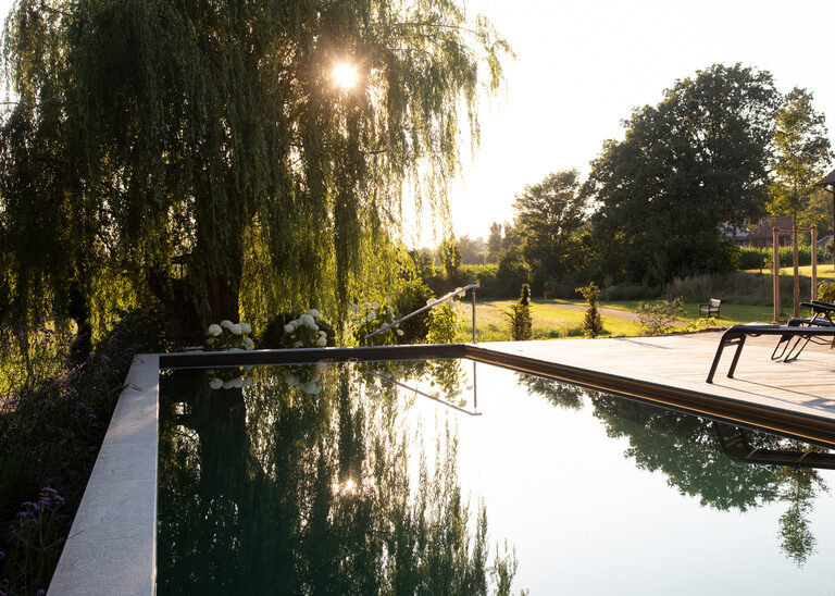 Ein einladender Naturpool mit einer Trauerweide im Hintergrund - Freizeit und Erholung pur im Hotel Quellenhof