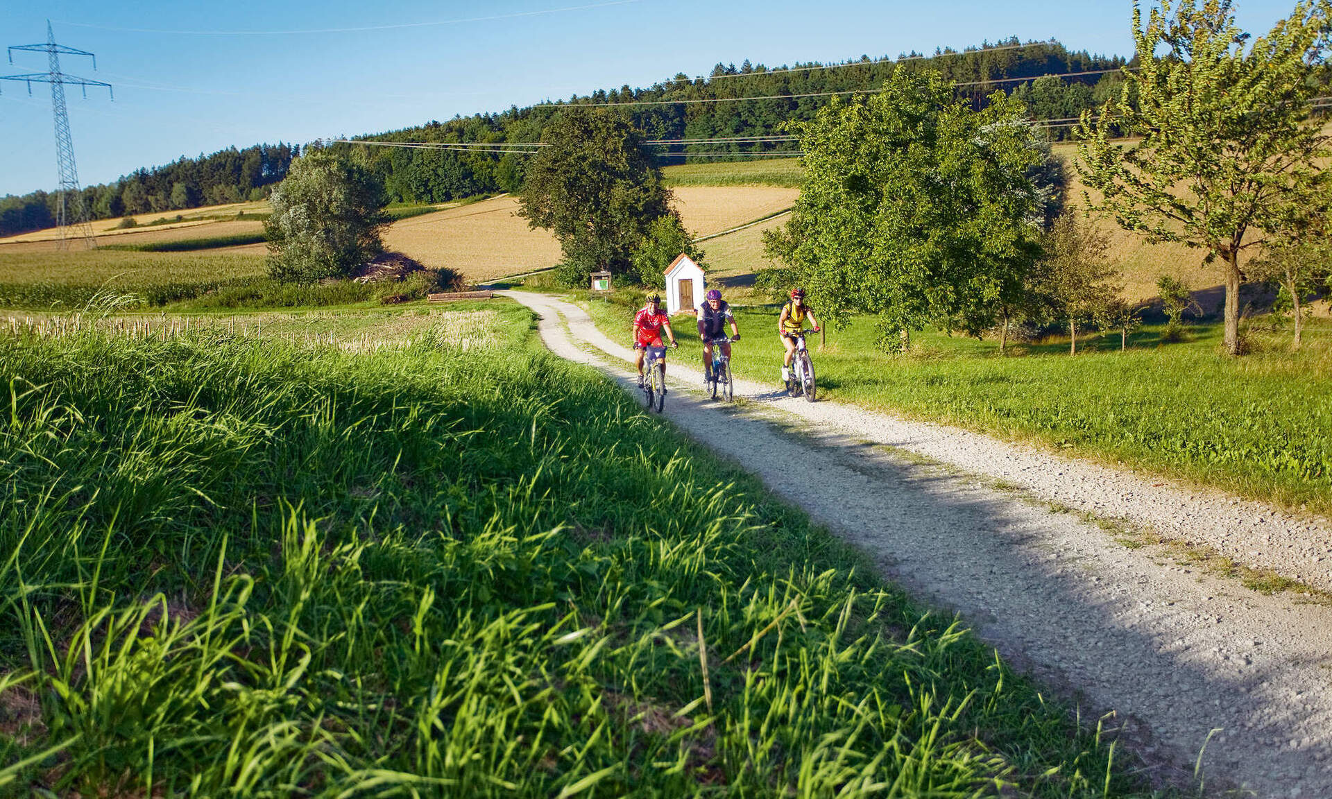 Eine Gruppe von Radfahren radelt durch das grüne Rottal an einem schönen Tag