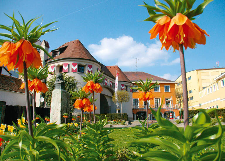 Innenstadt in Schärding mit vielen schöenen blühenden Blumen im Vordergrund an einem wunderschönen Tag.