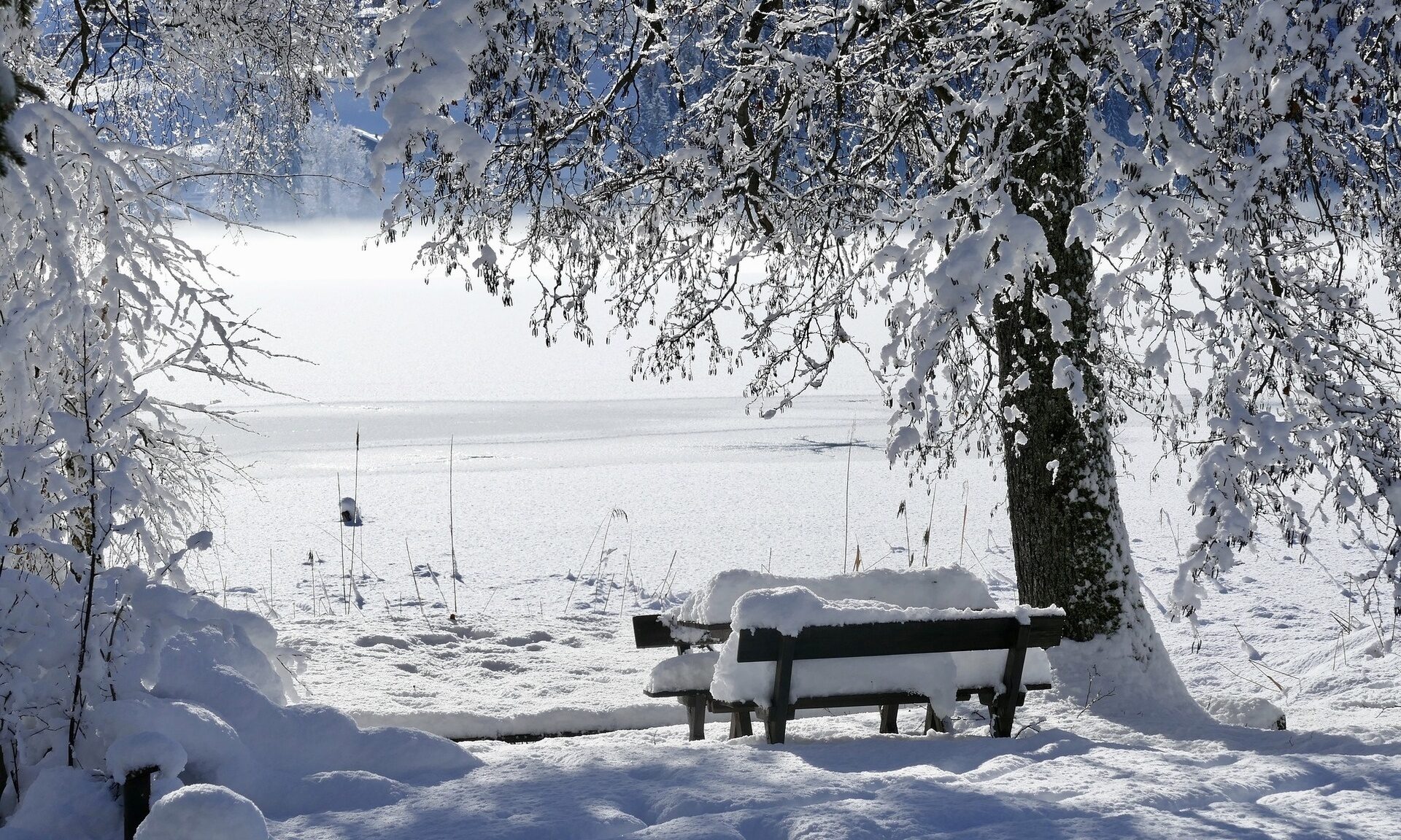 Eine verschneite Bank neben einem Baum in einer Rottaler Winterlandschaft